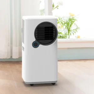 Climatiseur Portable Intelligent R290 / Refroidissement Rapide et Écologique